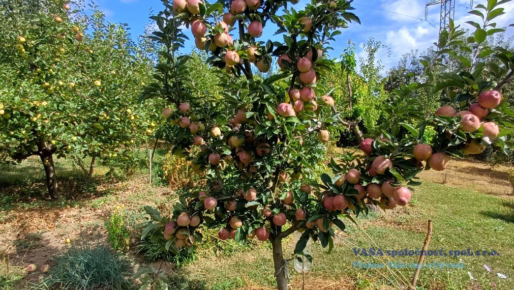 POZOR znížená cena o 3000 €- chatka v Rimavskej Sobote - Vinica