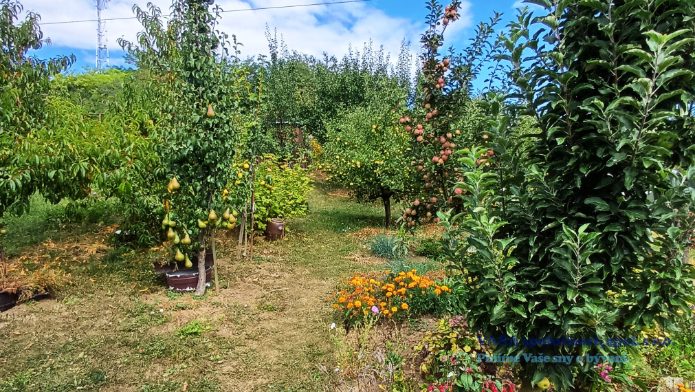 POZOR znížená cena o 3000 €- chatka v Rimavskej Sobote - Vinica