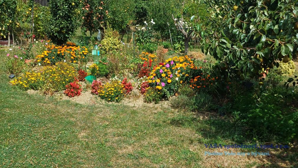 POZOR znížená cena o 3000 €- chatka v Rimavskej Sobote - Vinica