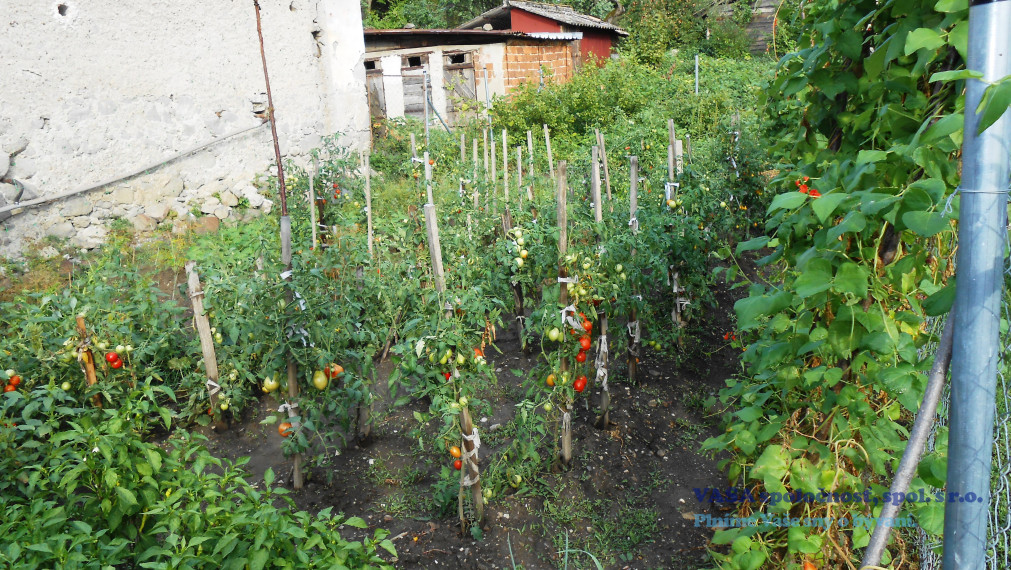 Rodinný dom - usadlosť v obci Hostišovce, okr. Rim. Sobota