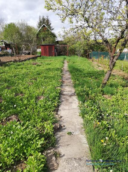 Predám chatku s pozemkom v Rimavskej Sobote-Vinica