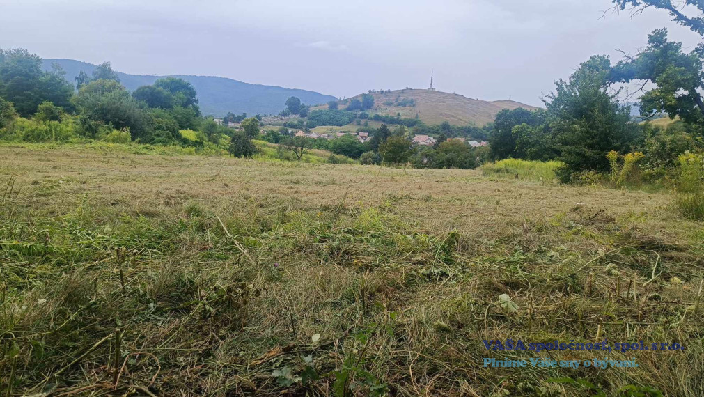 Na predaj je pozemok 1 ha v Jelšave, okr. Revúca