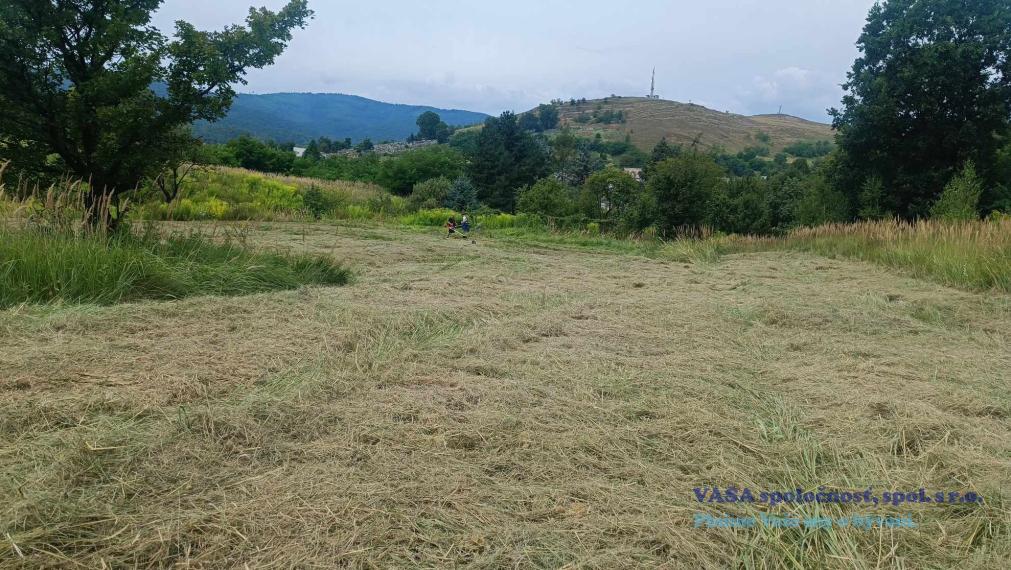 Na predaj je pozemok 1 ha v Jelšave, okr. Revúca