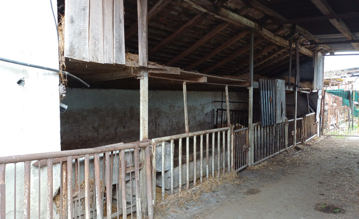 Na predaj je malá farma v Dubovci, okr. Rimavská Sobota - fotografia 4