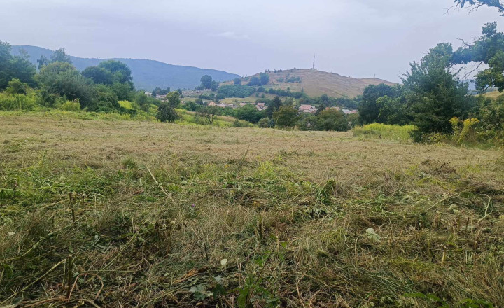 Na predaj je pozemok 1 ha v Jelšave, okr. Revúca - fotografia 4