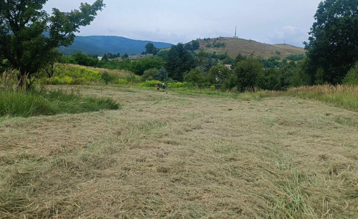 Na predaj je pozemok 1 ha v Jelšave, okr. Revúca - fotografia 2